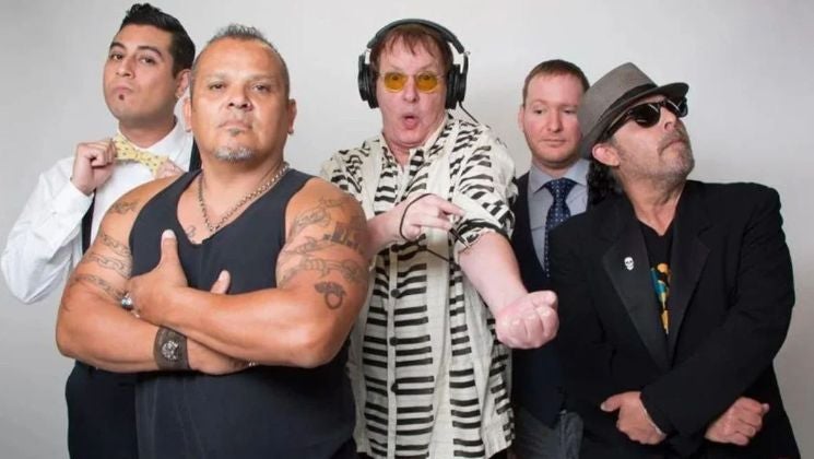 More Info for The Dickies